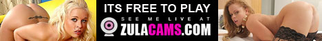 zulacamsbanner